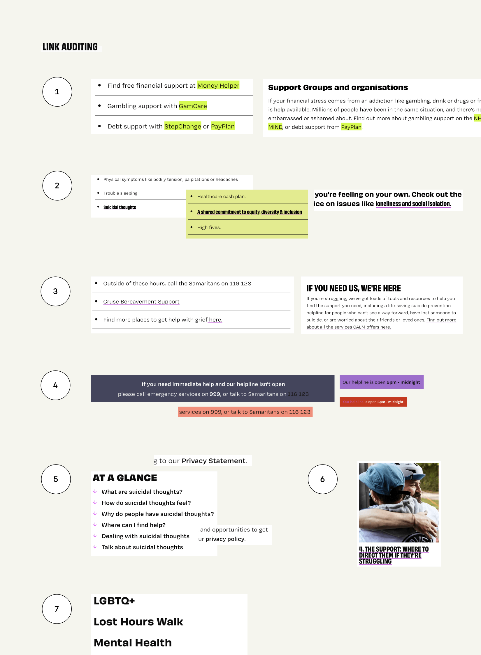 A collection of snapshots from the public website with different link styling applied