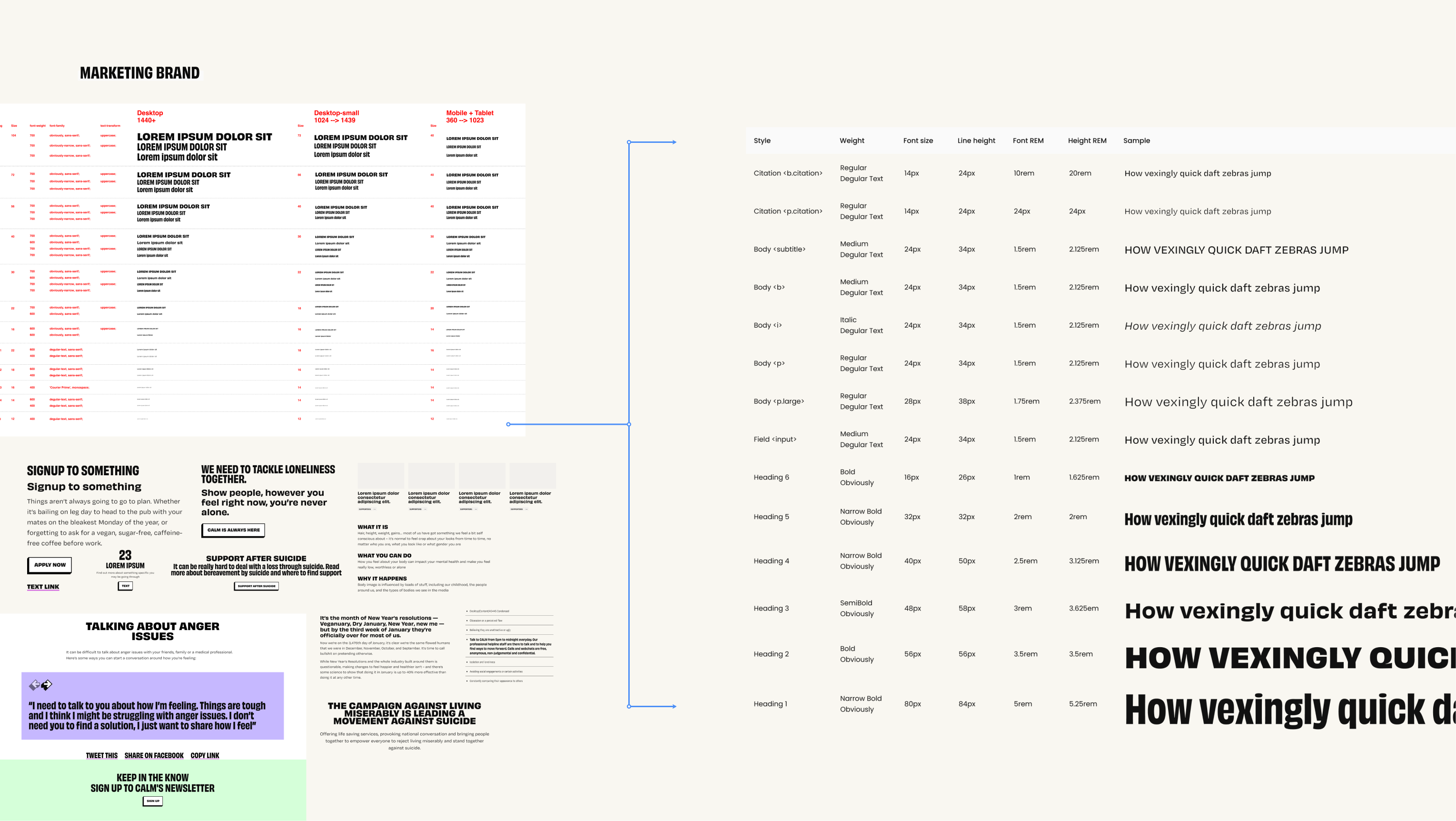 An image on the left showing all the marketing typography heirarchy and widgets - all of which created over 75+ combinations - and on the right showing a refined type heirarchy for the product as the product was very small