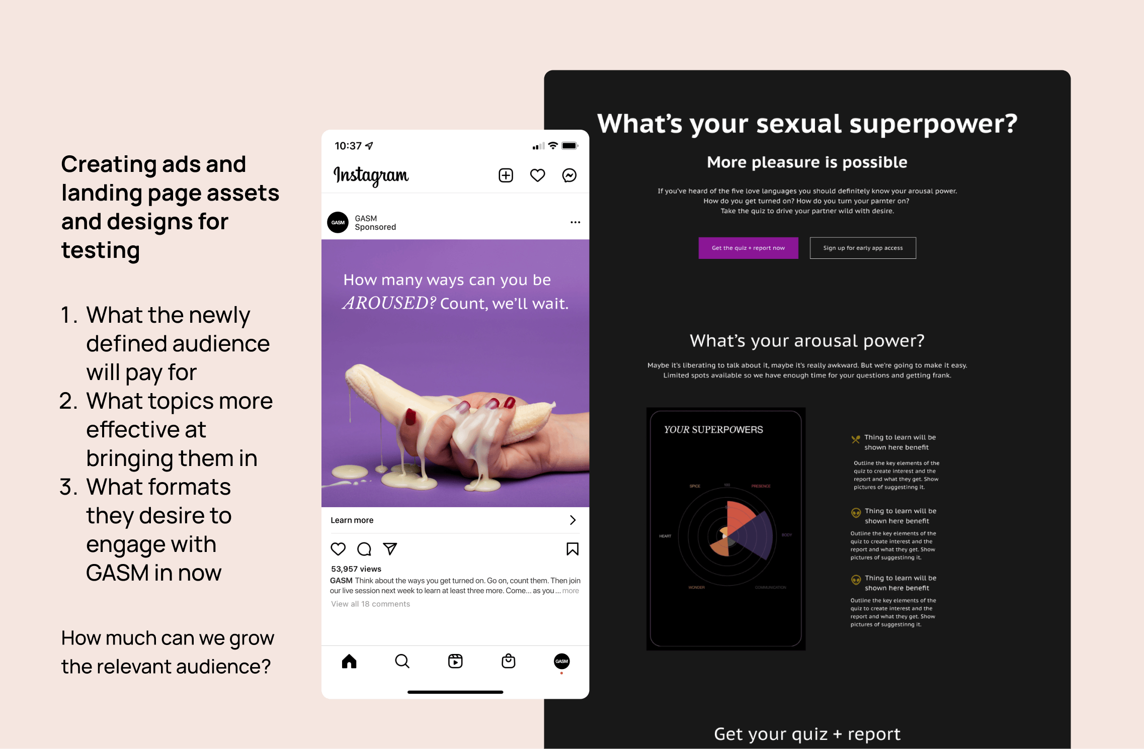 A graphic with a solid pink background showing the mockup I created for the landing page, the Instagram ad, and text explaining why were creating this to test what the new audience would pay for, what they would be more interested in, and in which formats