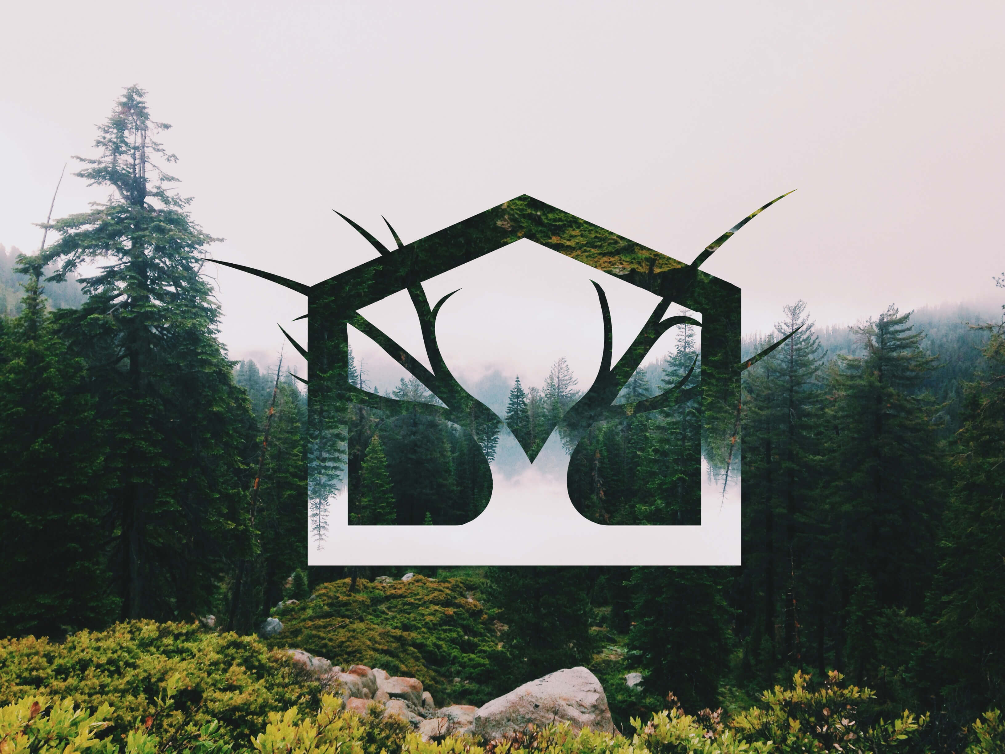 The main logo image with an inversed double exposure through the logo of the forest background