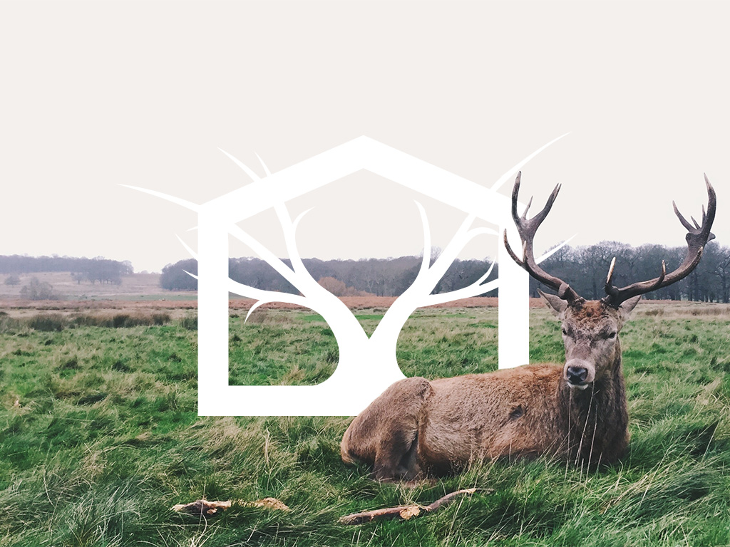 The logo we created is shown on a country landscape photo with a deer and its antlers lying in front of it