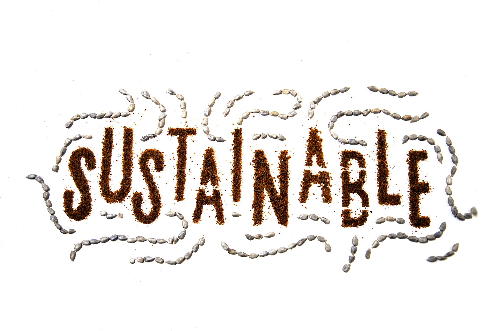 The word Sustainable is shown made from dark brown cocoa chips in uppercase letters on a white background with silver grey pebbles making flourishes around the letters