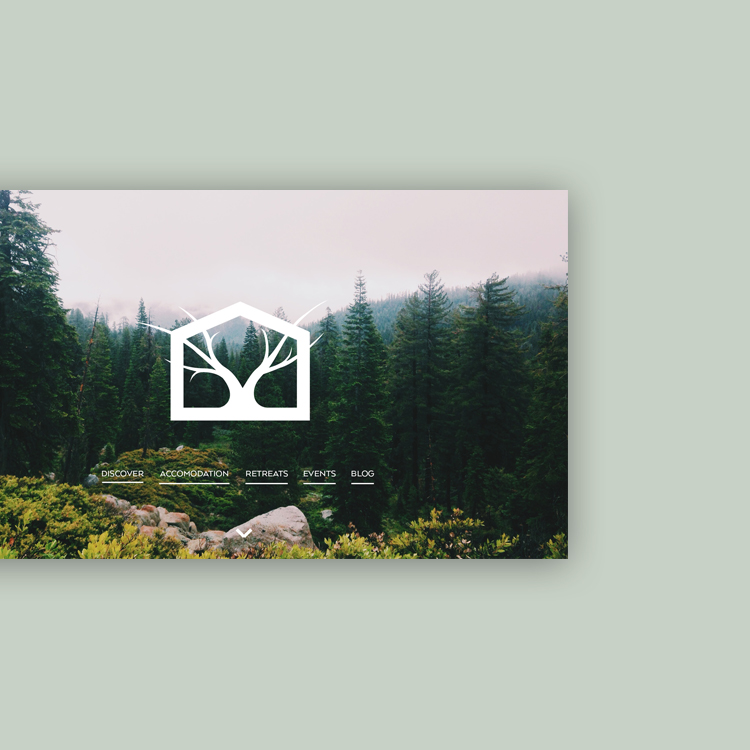 A snapshot of the entry page of the website is shown which uses the double exposition logo photo and the menu items to navigate into your chosen area