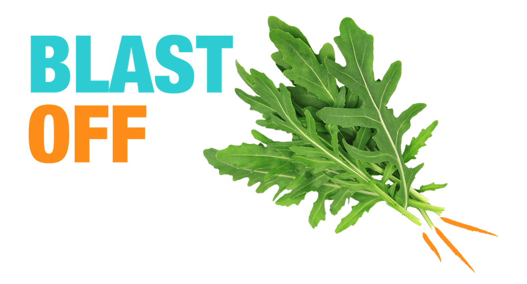 A cut out green leaves of rocket with the words Blast Off