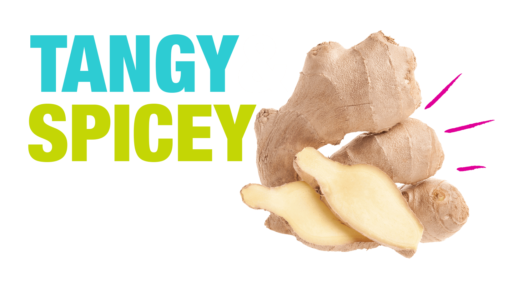 A cut out ginger with one open version facing us with the words Tangy and Spicey